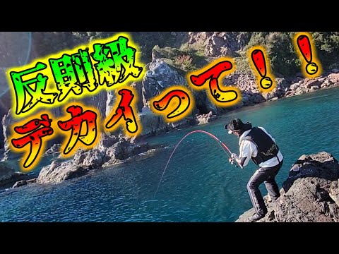 裏磯のモンスターがエグすぎた