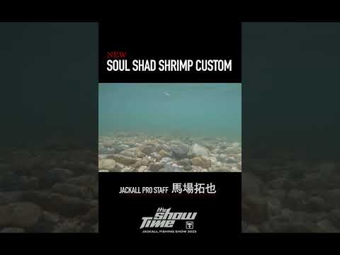 【バス釣り】ソウルシャッドシュリンプカスタムを馬場プロが解説！ #shorts #ジャッカル #バス釣り #フィッシングショー