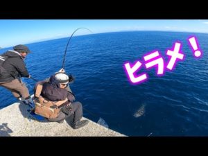 堤防アジ泳がせ釣りで爆釣劇！【前編】