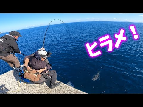 堤防アジ泳がせ釣りで爆釣劇！【前編】