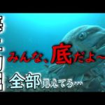 2023年１月中旬、海上つり掘まるやへ行って来ました。水温低下で、魚は底にじっとしている状態…とにかく厳しい１日でした。