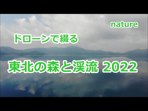 ドローンで綴る・東北の森と渓流 2022  / みちのく釣りの旅  ﾌﾗｲﾌｨｯｼﾝｸﾞ渓流釣り(4K) fly fishing