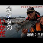 チヌかかり釣り 2023.2.6 堅田漁協　連戦2日目　厳しい中で最後まで頑張りました！