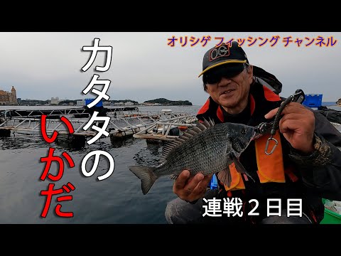 チヌかかり釣り 2023.2.6 堅田漁協　連戦2日目　厳しい中で最後まで頑張りました！