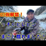 祝！２０２３年郡上漁協管内渓流釣り解禁速報！さっそくヒレピンあまご乱舞