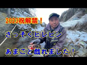 祝!2023年郡上漁協管内渓流釣り解禁速報!さっそくヒレピンあまご乱舞