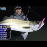 秋田県雄物川・米代川【釣りビジョン番組紹介】