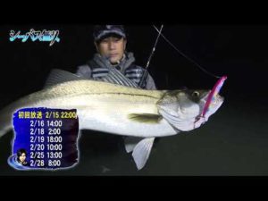 秋田県雄物川・米代川【釣りビジョン番組紹介】