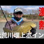 【埼玉バス釣り】元荒川堰上ポイント！リベンジ6日目【スモールマウスバス】