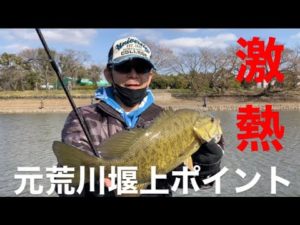 【埼玉バス釣り】元荒川堰上ポイント！リベンジ6日目【スモールマウスバス】