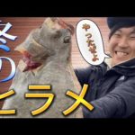 【高知釣り】コジャント大きいヒラメが釣れたぜよ！魚寄せの儀式は動画の最後