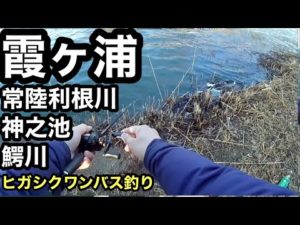 人気ポイントで今週のバス釣り霞ヶ浦！スポーニングまでに初バス釣りたいなあ2023年2月16日