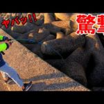 高級魚が荒喰いする堤防は子供もビビる生物が潜んでた！