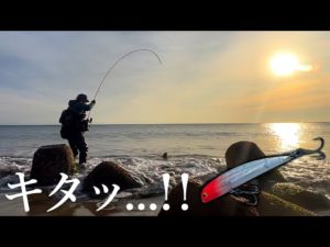 【サーフ釣り】手前でバシンッ...！！ 名作リップレスミノーに喰いついた嬉しい魚とは？【TKLM】