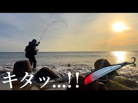 【サーフ釣り】手前でバシンッ...！！ 名作リップレスミノーに喰いついた嬉しい魚とは？【TKLM】