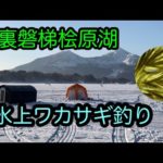 【ワカサギ釣り】【裏磐梯桧原湖】【氷上ワカサギ】