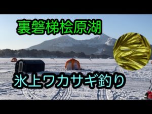 【ワカサギ釣り】【裏磐梯桧原湖】【氷上ワカサギ】