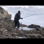 午前中だけでアタリ連発【磯釣り　グレ釣り】