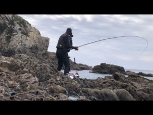 午前中だけでアタリ連発【磯釣り　グレ釣り】