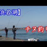 今最もアツい浜名湖でチヌ釣りして来ました