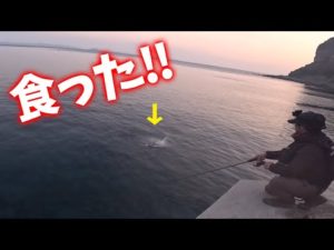 離島釣り旅1泊2日でゆうたろうの竿に…