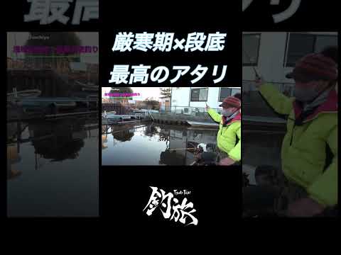 厳寒期×段底「最高のアタリ」 #ヘラブナ #釣り場 #へらぶな #釣り ＃段底　#へらぶな釣り ＃釣りチャンネル　#fishing