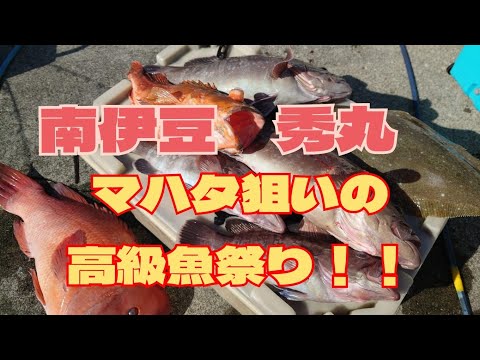 〚南伊豆　秀丸〛泳がせ釣り　マハタ狙いの高級魚祭り！