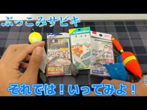 【サビキ釣り】冬の低活性アジが釣れる⁉ブッコミサビキとは！