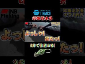 【バス釣り】トップでネズミバイト! #inb_fishing #野良ネズミ #印旛沼水系