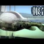 救うことができませんでした。