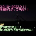 最後まで諦めない気持ち！田子沖堤防ぶっこみ釣り！(2022.9.10〜11)