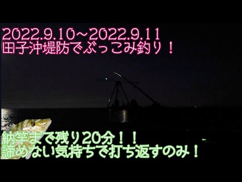 最後まで諦めない気持ち！田子沖堤防ぶっこみ釣り！(2022.9.10〜11)