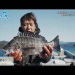 【釣り百景】#475 愛媛県宇和島エリア 北灘のカセ釣り厳寒期の巨大チヌを狙う！