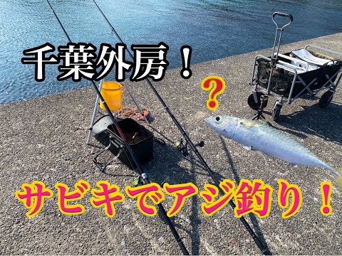 【23年2月】外房の港でサビキ釣り！アジ狙ってみた！