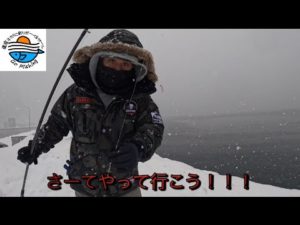 ホッケ釣り🎣　【北海道】【釣り】【余市漁港】