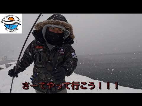 ホッケ釣り🎣　【北海道】【釣り】【余市漁港】