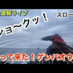 ［石鯛釣り］　デカバンに持って行かれた竿を素潜り漁師さんが拾ってくれました⤴️