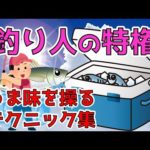 クーラーと締め方と食中毒/魚を美味しく持ち帰る方法