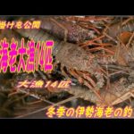伊勢海老釣り大漁14匹 1 highlight