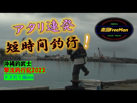 【沖縄釣り】アタリ連発！乗っ込み突入か？短時間釣行　沖縄釣武士撃沈釣行記2023　チヌ釣り編006