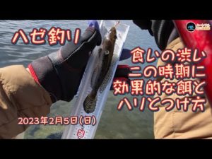 ハゼ釣り 食いの渋いこの時期に効果的な餌とハリとつけ方 2023年2月5日