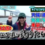 【STU LABO】立仙百佳 めざせ！さかなちゃん 〜釣り編〜 (毎週月曜20:00更新)