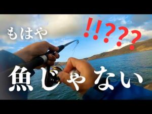 日本最北の離島で泳がせ釣りとライトショアジギングをしたら…