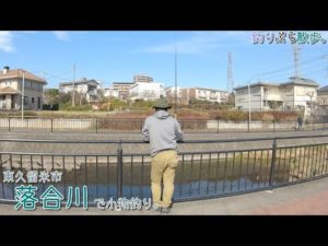東久留米市 湧水の落合川で小物釣り。冬でも湧水が流れ込む川って釣れる?