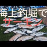 即掛サーモン！水宝サーモンの釣り方