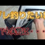 【浜名湖ウキフカセ】グレが釣れるようにしたのに奴らが来る