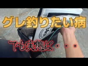 【浜名湖ウキフカセ】グレが釣れるようにしたのに奴らが来る