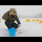 大沼ワカサギの穴釣り！！エブリィバンに柴犬乗せて
