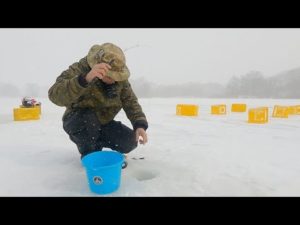 大沼ワカサギの穴釣り！！エブリィバンに柴犬乗せて