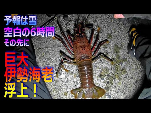 伊勢海老釣り 雪が降る前に釣り上げろ！　　　　　　TVの街頭インタビューってよく見ると同じ人が色々な番組で話してるよね．．．クライシスア○ター．．．